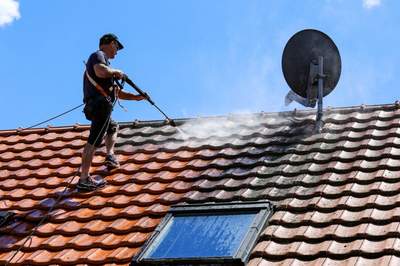 Roof Cleaning Experts