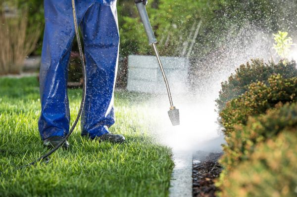 Curb Cleaning in Cape Coral