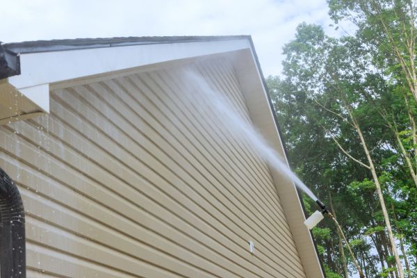 Siding Cleaning Service