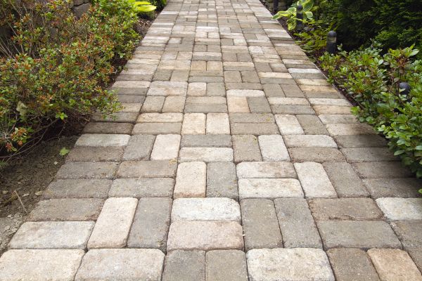 Paver Walkway Cleaning in Cape Coral